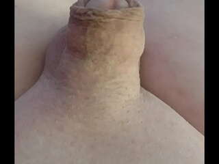 Free cock XXX Videos